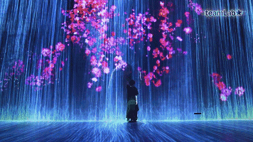花與瀑布的沉浸式世界 花與瀑布的沉浸式世界