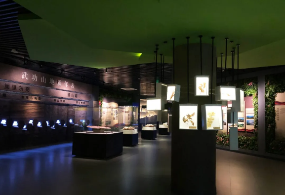 解析武功山地質(zhì)博物館設(shè)計元素 解析武功山地質(zhì)博物館設(shè)計元素