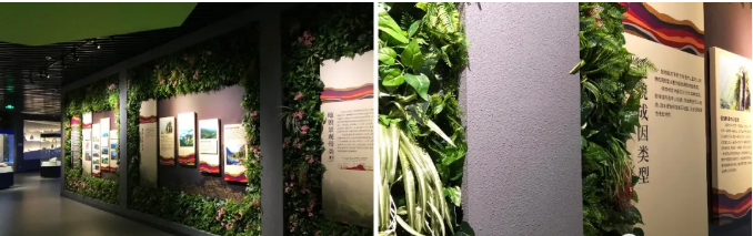 解析武功山地質(zhì)博物館設(shè)計元素 解析武功山地質(zhì)博物館設(shè)計元素